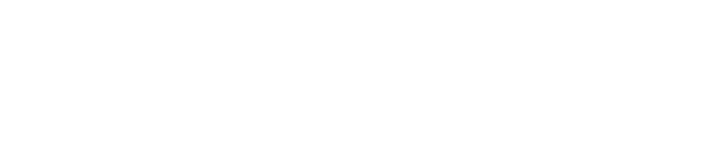 This website was made with the support of